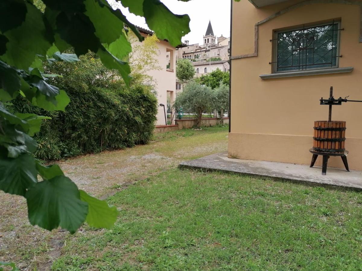 Apartment La Musa - Clio *
